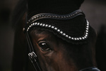 Nauszniki klasyczne Kentucky Horsewear Wellington Big Stone&Pearl
