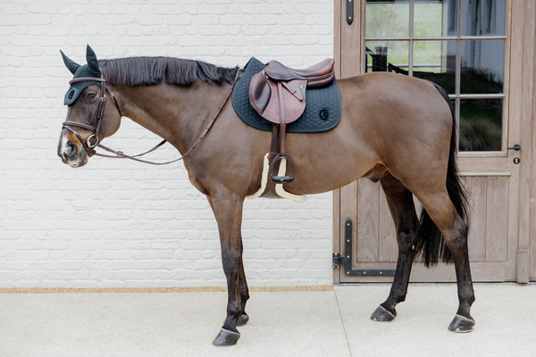 Ogłowie z nachrapnikiem angielskim kombinowanym z paskiem krzyżowym Dy'on D Collection Plaited DYAOAK