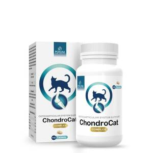Suplement wspomagający aparat ruchu kotów Pokusa Chondro Cat - 110 tabletek