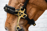 Hackamore Dy'on D Collection DY-14003