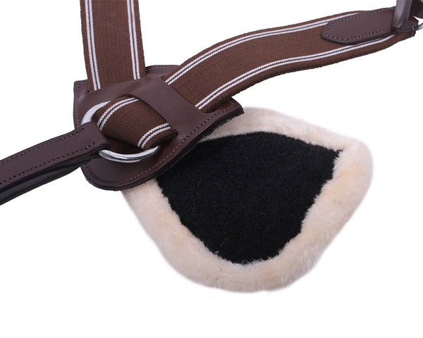 Napierśnik 5-punktowy QHP Ontario