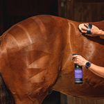 Zestaw do pielęgnacji konia Carr & Day & Martin Grooming DUO