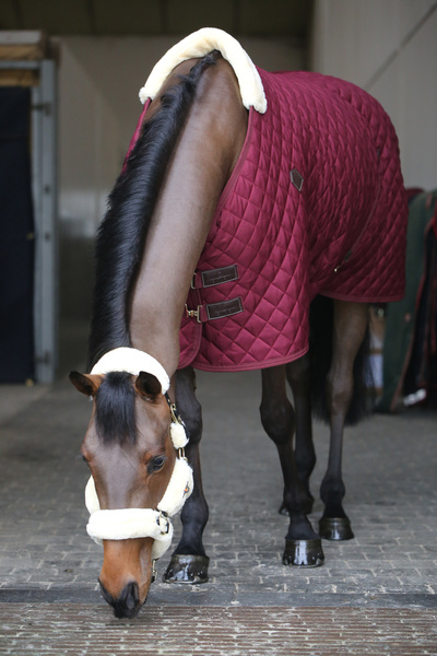 Derka stajenna Kentucky Horsewear - 400g