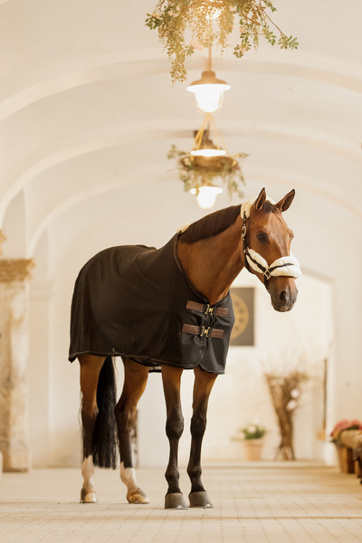 Derka siatkowa przeciw owadom Kentucky Horsewear Mesh Fly Sheet