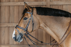 Ogłowie bezwędzidłowe 3w1 Dy'on Working Collection Motion WOCCCW