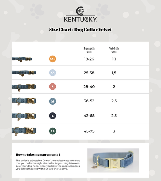 Obroża dla psa Kentucky Dogwear Lizard