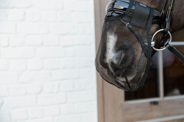 Maska na chrapy Kentucky Horsewear