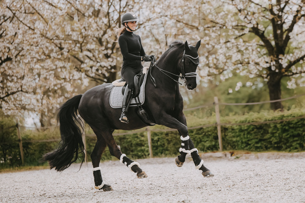 Ochraniacze z futrem Kentucky Horsewear Turnout Boots Air