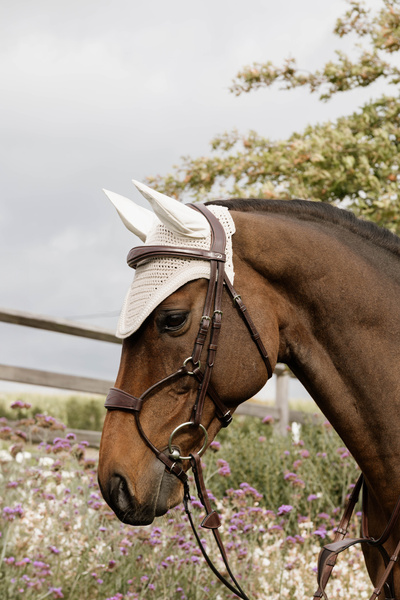 Ogłowie z nachrapnikiem przelotowym Dy'on New Collection NEABA7