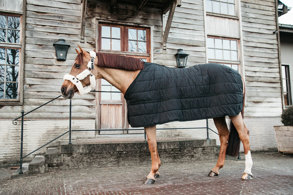 Podderka Kentucky Horsewear 100g