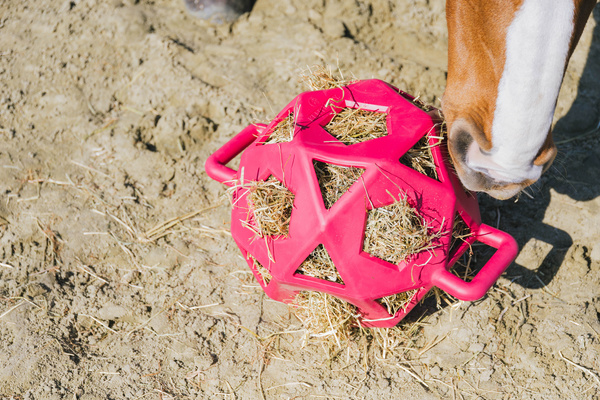 Piłka na siano dla konia Kentucky Horsewear Relax Horse Play & Hay Ball