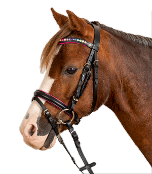 Ogłowie z nachrapnikiem kombinowanym Star Pinky