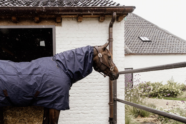 Wodoodporny kaptur dla konia Kentucky Horsewear Waterproof Horse Scarf Classic