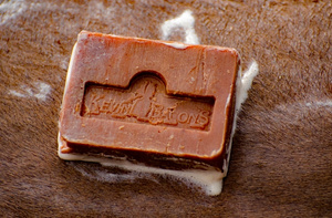 Naturalne mydło przeciw świądowi dla koni Kevin Bacon’s Active Soap