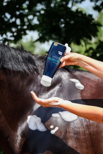 Szampon odświeżający dla koni Cavalor Refresh Wash