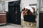Kurtyna na boks Kentucky Horsewear Stable Curtain