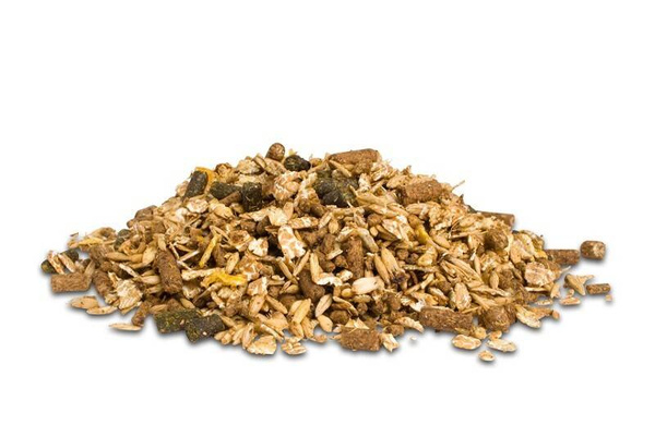 Musli dla starszych koni Dodson & Horrell Sixteen Plus Mix 20kg