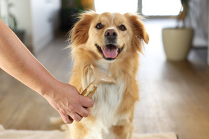 Grzebień do podszerstka Magic Brush