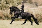 Czaprak ujeżdżeniowy Kentucky Horsewear Glitter Stone