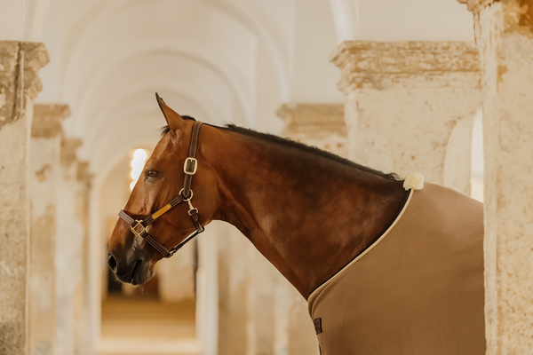 Kantar ze skóry syntetycznej Kentucky Horsewear Leather Halter Wellington