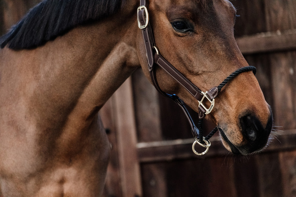Kantar z nachrapnikiem sznurkowym Kentucky Horsewear Leather Rope