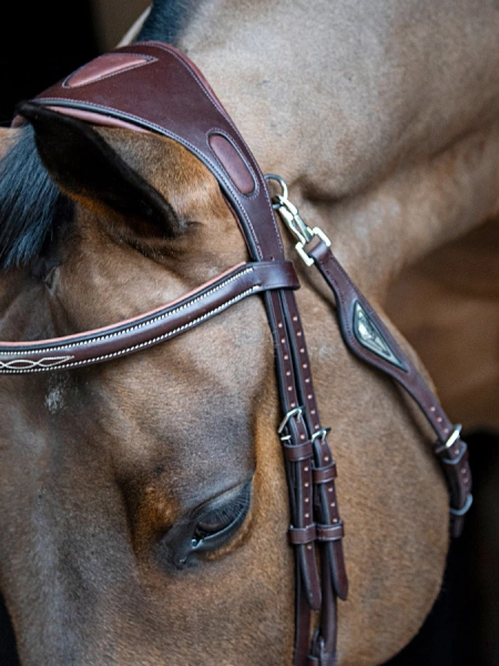 Część potyliczna do ogłowia Equiline
