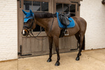 Nauszniki klasyczne Kentucky Horsewear Velvet Horse Printing