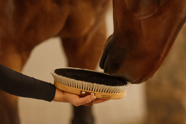 Szczotka do nabłyszczania sierści konia z naturalnego włosia końskiego Kentucky Horsewear Overall Brush Body Shine