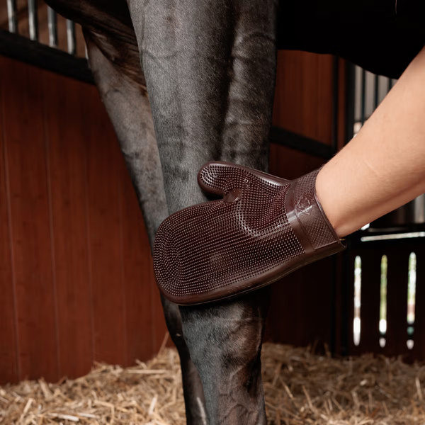 Gumowa rękawica do pielęgnacji konia Grooming Deluxe