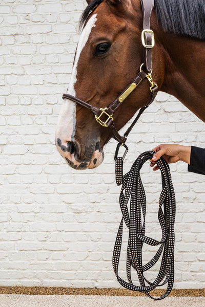 Lonża Kentucky Horsewear Lunge Line