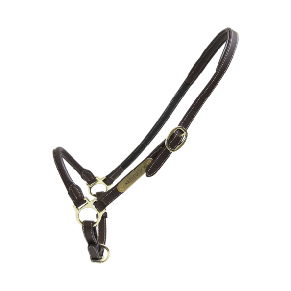 Kantar pielęgnacyjny ze skóry syntetycznej Kentucky Horsewear Leather Grooming Halter