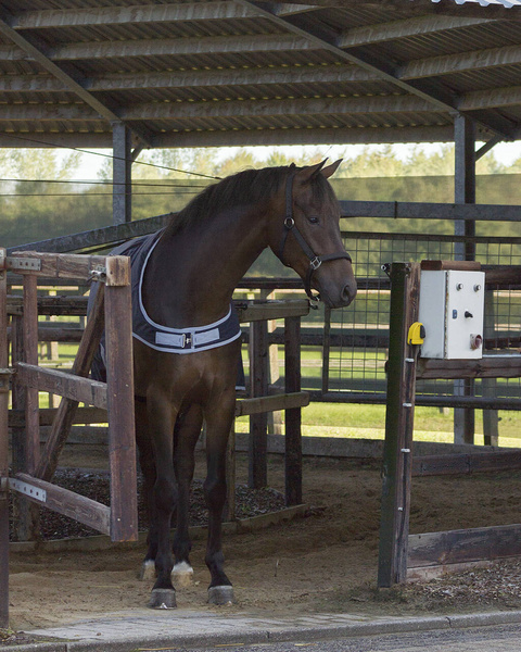 Derka do karuzeli QHP Walker 200g