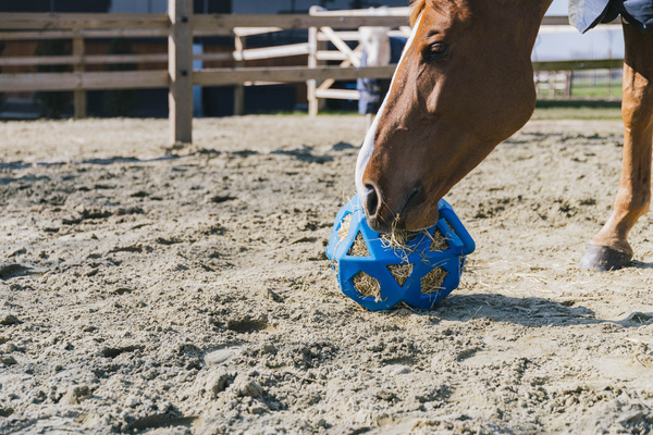 Piłka na siano dla konia Kentucky Horsewear Relax Horse Play & Hay Ball