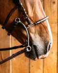 Hackamore Fager Hector
