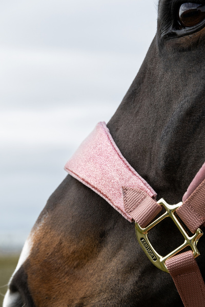Kantar dla konia Kentucky Horsewear Velvet Unicorn Glitter