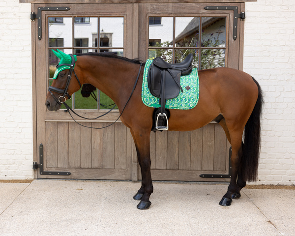 Nauszniki klasyczne Kentucky Horsewear Velvet Printing
