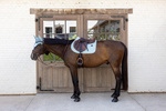 Czaprak wszechstronny Kentucky Horsewear Velvet Printing