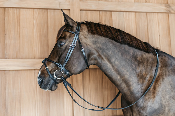 Ogłowie z nachrapnikiem kombinowanym Dy'on Working Collection Round WOARHY