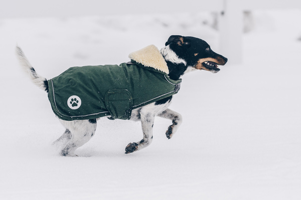 Derka dla psa Kentucky Dogwear Waterproof 300g