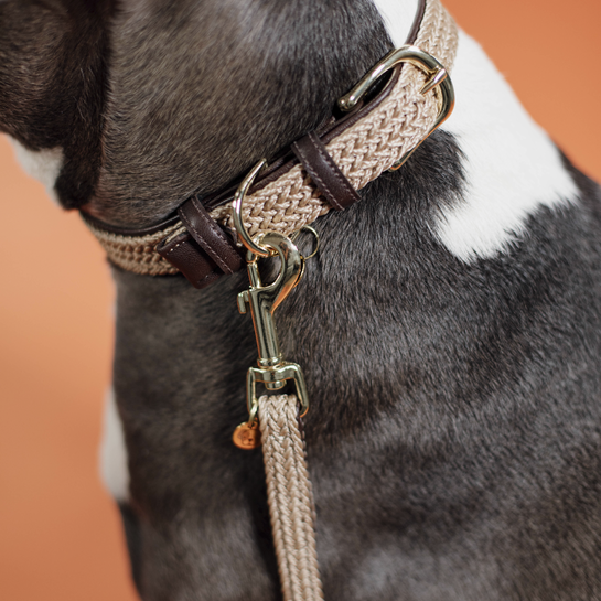 Obroża dla psa Kentucky Dogwear Plaited Nylon