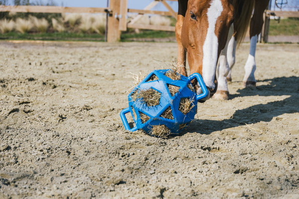 Piłka na siano dla konia Kentucky Horsewear Relax Horse Play & Hay Ball