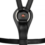 Wodze Thiedemanna START