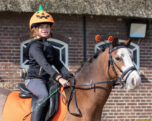 Ozdoba QHP Halloween