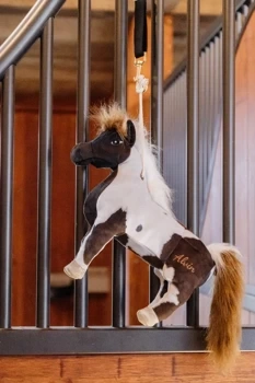 Zabawka do boksu Kentucky Horsewear Alvin