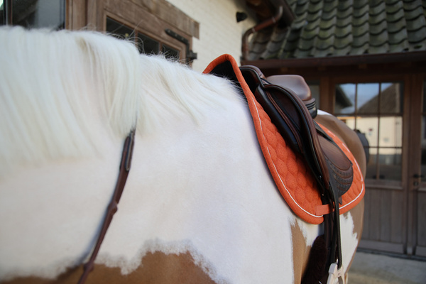 Czaprak wszechstronny Kentucky Horsewear Melange