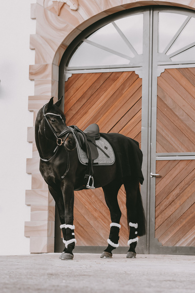 Czaprak ujeżdżeniowy Kentucky Horsewear Pied De Poule