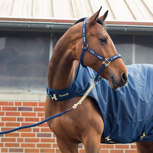 Uwiąz z łańcuszkiem Horze