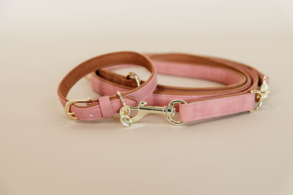 Obroża dla psa Kentucky Dogwear Soft Vegan Leather