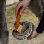 Zestaw do czyszczenia konia QHP Royal