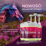 Witaminy i minerały w micelarnym płynie Hippovet Pharmacy EQUIMINS 2,5l